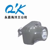 供应IW5110/IW5110B固态强光防爆头灯